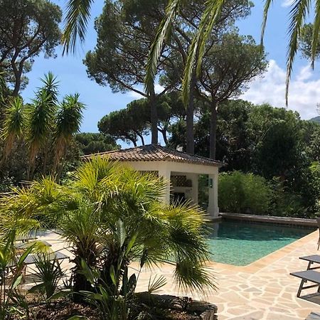 Villa La Clarte Cavalaire-sur-Mer Exteriör bild