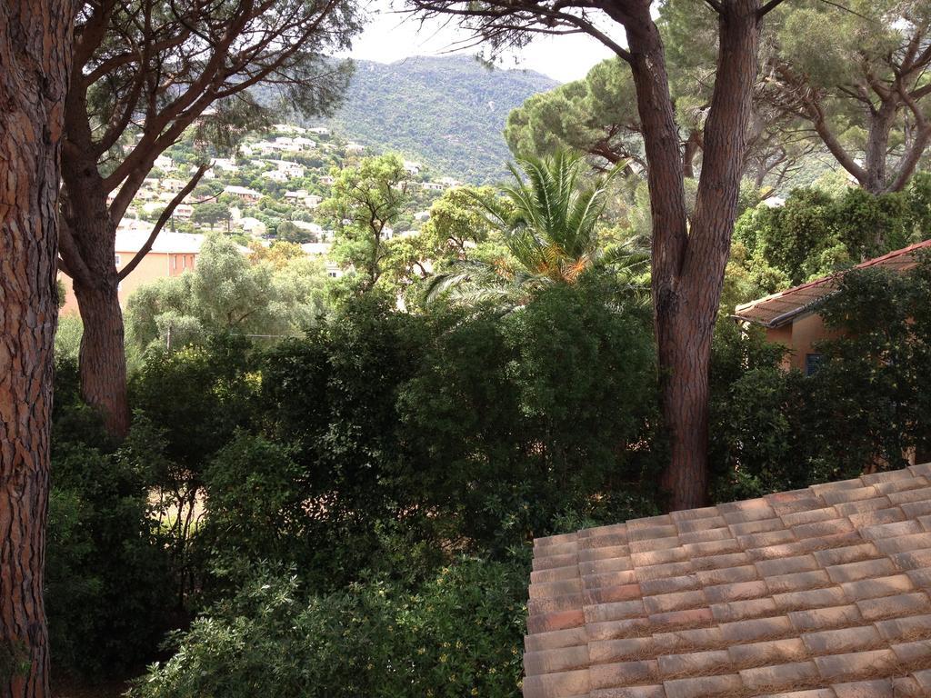 Villa La Clarte Cavalaire-sur-Mer Exteriör bild